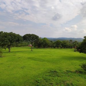Ausblick über die Gärten Jesuitenreduktion Paraguay